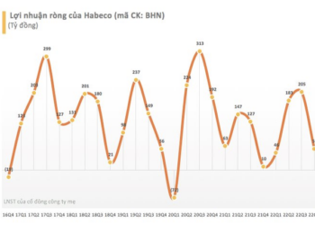 Bia Hà Nội báo lãi quý 4/2022 gấp hơn 5 lần cùng kỳ - Ảnh 1.