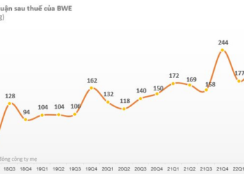 Biwase (BWE) dự chi 251 tỷ đồng tạm ứng cổ tức năm 2022 - Ảnh 1.