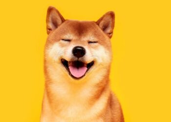 Bonk đốt token phân bổ dành cho đội ngũ dự án, giá vẫn suy sụp