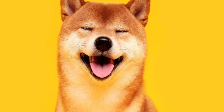 Bonk đốt token phân bổ dành cho đội ngũ dự án, giá vẫn suy sụp