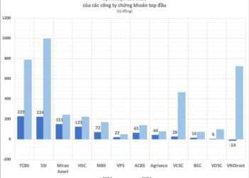 Các công ty chứng khoán đốt bao nhiêu tiền cho cuộc đua giành thị phần môi giới? - Ảnh 1.