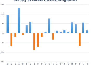 Chứng khoán Việt Nam thường diễn biến ra sao những ngày khai xuân đầu năm mới? - Ảnh 1.