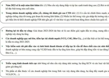 VCBS: Cơ hội cho ngành xây dựng trong năm 2023 nhưng không phải với tất cả, ông lớn như Hòa Bình, Coteccons... kém nổi bật - Ảnh 1.