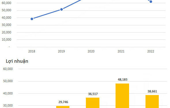Đạt doanh số kỷ lục 128.200 tỷ đồng, Vinhomes báo lãi trước thuế hơn 38.600 tỷ đồng năm 2022 - Ảnh 1.