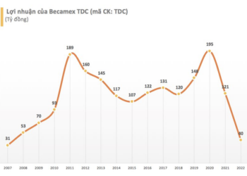 Doanh thu BĐS sụt giảm 99%, Becamex TDC báo lỗ hơn trăm tỷ - Ảnh 1.