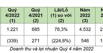 Bamboo Capital (BCG): Doanh thu năm 2022 đạt hơn 4.531 tỷ, lợi nhuận sau thuế hơn 546 tỷ - Ảnh 1.