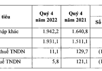 Nhơn Trạch 2 (NT2): Giá vốn tăng mạnh, lợi nhuận quý 4 sụt giảm 95% so với cùng kỳ 2021 - Ảnh 1.