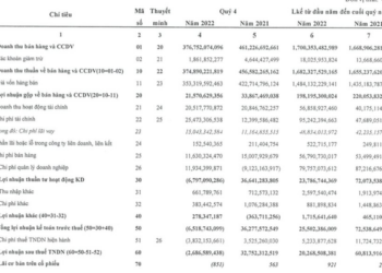 Hanosimex (HSM) lỗ tiếp 2,7 tỷ đồng trong quý 4/2022 - Ảnh 1.