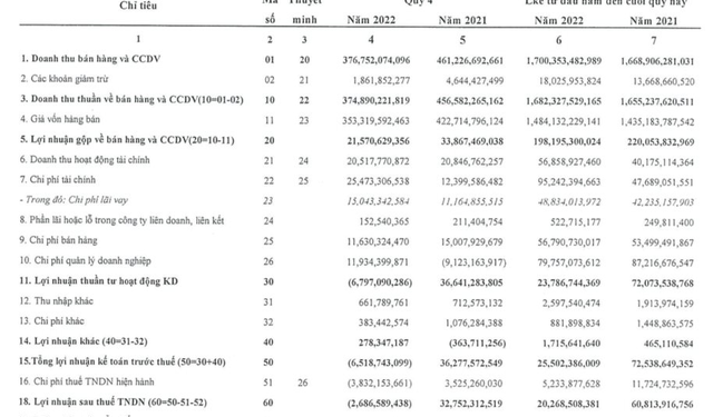 Hanosimex (HSM) lỗ tiếp 2,7 tỷ đồng trong quý 4/2022 - Ảnh 1.