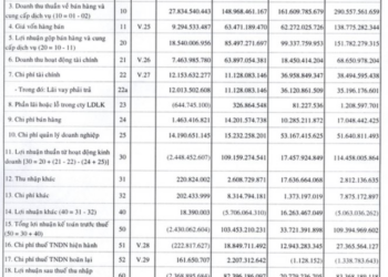 Hậu án phạt, Vạn Phát Hưng (VPH) báo lãi 2022 sụt giảm 75% - Ảnh 1.