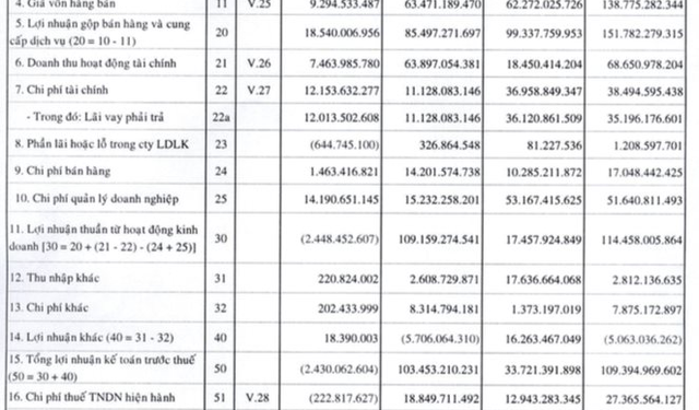 Hậu án phạt, Vạn Phát Hưng (VPH) báo lãi 2022 sụt giảm 75% - Ảnh 1.
