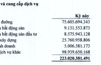 Hụt nguồn thu lĩnh vực bất động sản thương mại, Becamex IJC giảm 50% lợi nhuận so với cùng kỳ - Ảnh 1.