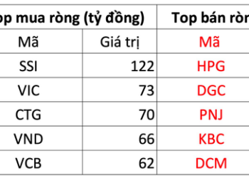 Khối ngoại bất ngờ mua ròng 835 tỷ đồng trong phiên giao dịch cuối cùng trước khi nghỉ Tết, tập trung gom cổ phiếu tài chính - Ảnh 1.