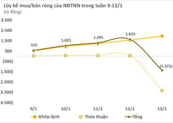 Khối ngoại chấm dứt chuỗi 9 tuần liên tiếp mua ròng trên thị trường chứng khoán Việt Nam - Ảnh 1.