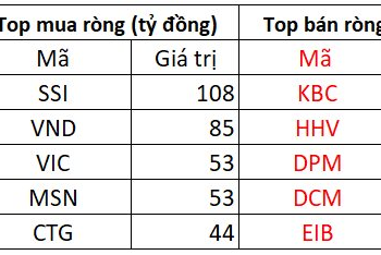 Phiên 18/1: Khối ngoại miệt mài giải ngân hơn 700 tỷ đồng, tập trung gom cổ phiếu chứng khoán - Ảnh 1.