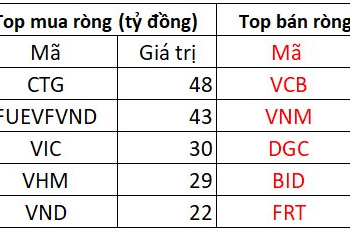 Phiên 11/1: Khối ngoại mua ròng 270 tỷ đồng, dàn trải trên diện rộng - Ảnh 1.
