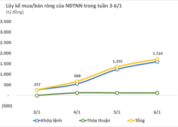 Khối ngoại mua ròng xuyên suốt tuần giao dịch đầu năm mới, tổng giá trị hơn 1.700 tỷ đồng - Ảnh 1.