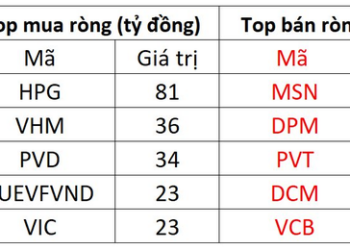 Khối ngoại tiếp đà mua ròng hơn 330 tỷ đồng, tâm điểm gom HPG - Ảnh 1.