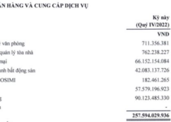ANI (SIC): Lãi tăng mạnh trong năm 2022, doanh thu lần đầu chạm mốc nghìn tỷ - Ảnh 1.