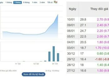 Liên tục bứt phá nhờ hiệu ứng thoái vốn của Vinachem, một cổ phiếu tăng gấp 3 lần sau một tháng - Ảnh 1.
