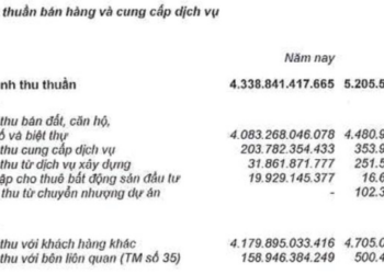 Nam Long (NLG): Lợi nhuận năm 2022 sụt giảm mạnh - Ảnh 1.