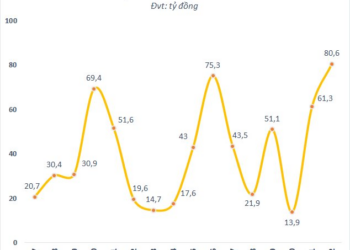 Lợi nhuận quý 4 tăng mạnh, Nam Mê Kông (VC3) lãi kỷ lục năm 2022 - Ảnh 1.