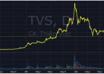 Một công ty chứng khoán sắp phát hành mới 42 triệu cổ phiếu thưởng và trả cổ tức - Ảnh 1.