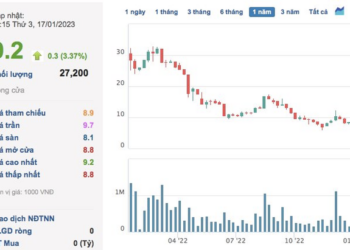 Ngành nghề kinh doanh cốt lõi thu hẹp, SCI E&C (SCI) báo lãi sau thuế năm 2022 giảm 78% - Ảnh 1.