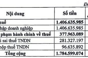 Nhiệt điện Hải Phòng (HND) bị phạt và truy thu thuế gần 1,8 tỷ đồng - Ảnh 1.