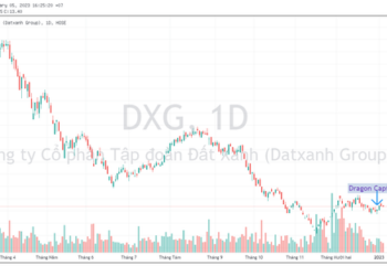 Nhóm quỹ Dragon Capital gom thêm hàng triệu cổ phiếu DXG và STB cuối năm 2022 - Ảnh 1.