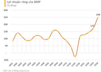 Nhựa Bình Minh (BMP) báo lãi quý 4 cao kỷ lục trong lịch sử, gửi ngân hàng gần 1.000 tỷ đồng - Ảnh 1.