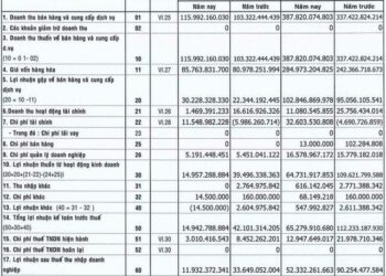 Ôm hàng triệu cổ phiếu HPG, một doanh nghiệp đá báo lãi quý 4/2022 giảm gần 65% - Ảnh 1.
