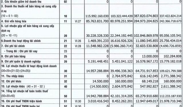 Ôm hàng triệu cổ phiếu HPG, một doanh nghiệp đá báo lãi quý 4/2022 giảm gần 65% - Ảnh 1.