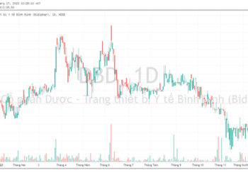 Quỹ ngoại đến từ Thụy Sỹ trở thành cổ đông lớn Dược Bình Định (DBD) - Ảnh 1.