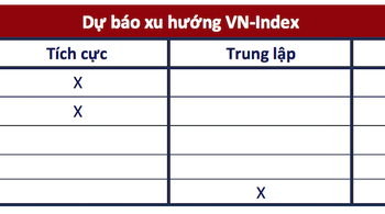 Góc nhìn CTCK: Rung lắc xuất hiện ở vùng 1.060-1.065 điểm, nhà đầu tư hạn chế mua đuổi - Ảnh 1.