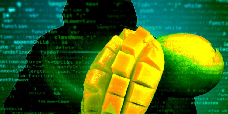 SEC buộc tội kẻ tấn công Mango Markets, tuyên bố MNGO là “chứng khoán”