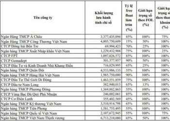 Sắp có thêm một ETF mô phỏng rổ chỉ số hút khối ngoại, Diamond ETF không còn là lựa chọn duy nhất - Ảnh 1.