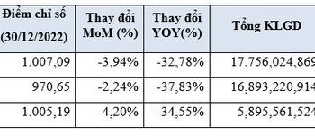 Thanh khoản bình quân phiên giảm 21%, khối ngoại mua ròng 1 tỷ USD trên HoSE trong năm 2022 - Ảnh 1.