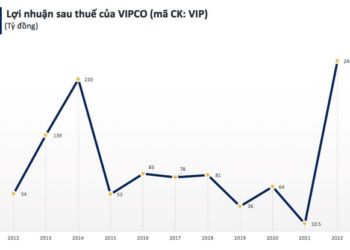 Thanh lý tài sản, VIPCO lãi kỷ lục 247 tỷ đồng trong năm 2022 - Ảnh 1.
