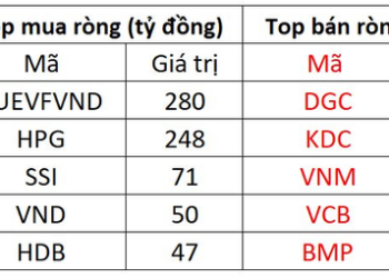 Thị trường điều chỉnh, khối ngoại tranh thủ mua ròng gần 800 tỷ đồng - Ảnh 1.
