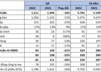 Thực phẩm Sao Ta (FMC) báo lãi sau thuế quý 4/2022 giảm 26% - Ảnh 1.