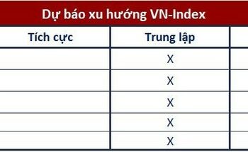 Góc nhìn CTCK: Tiếp tục đi ngang, hạn chế mua mới - Ảnh 1.