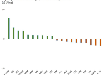 Phiên 19/1: Tự doanh CTCK mua ròng hơn 70 tỷ đồng, tâm điểm gom chứng chỉ quỹ - Ảnh 1.