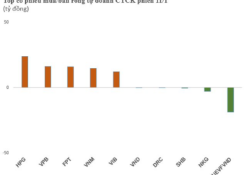 Phiên 11/1: Tự doanh CTCK quay xe mua ròng hơn 200 tỷ đồng trên HoSE, tâm điểm gom HPG - Ảnh 1.