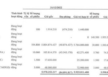 Từng chiến thắng thị trường với cổ phiếu “họ” Sông Đà, một doanh nghiệp sách đánh mất thành quả sau quý 4 - Ảnh 1.