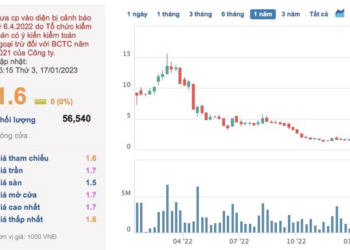 VKC Holdings (VKC) lỗ kỷ lục 238 tỷ đồng năm 2022 - Ảnh 1.