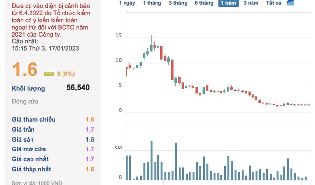 VKC Holdings (VKC) lỗ kỷ lục 238 tỷ đồng năm 2022 - Ảnh 1.