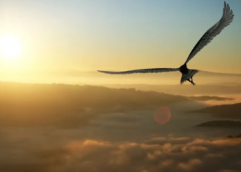 Tại sao Bitcoin thuận lợi nhảy vọt qua mức 21.000 USD?