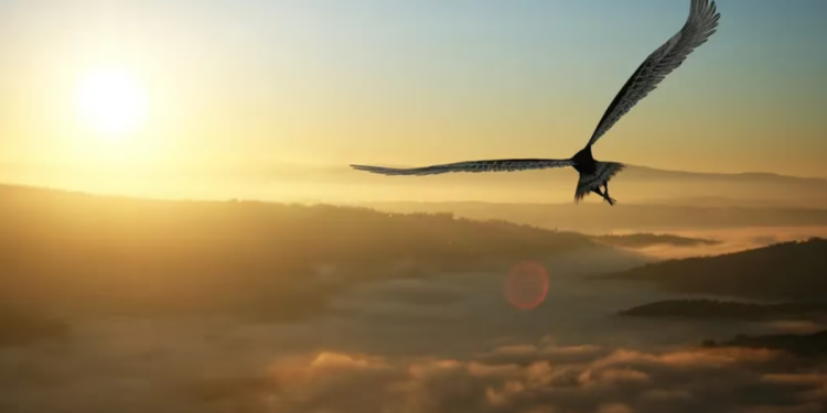 Tại sao Bitcoin thuận lợi nhảy vọt qua mức 21.000 USD?