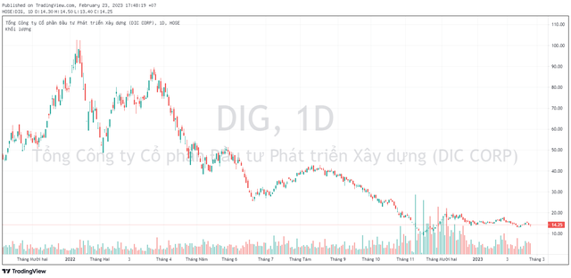 DIC Corp (DIG) lùi thời điểm chào bán 100 triệu cổ phiếu sang quý 2-3/2023 - Ảnh 2.